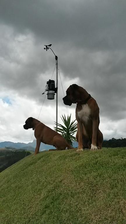 Chale Da Manga Larga Villa Petrópolis Exteriör bild